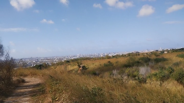 google地圖找不到的大肚山步道-龍目井步道