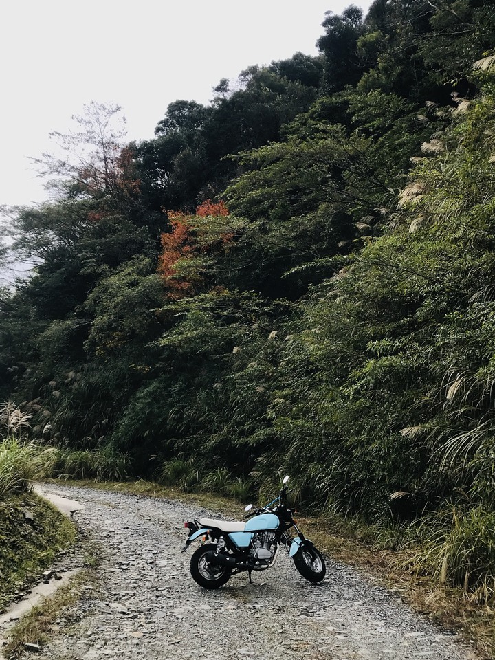 小雲豹→輕易完成的野溪溫泉瀑布SPA♨️