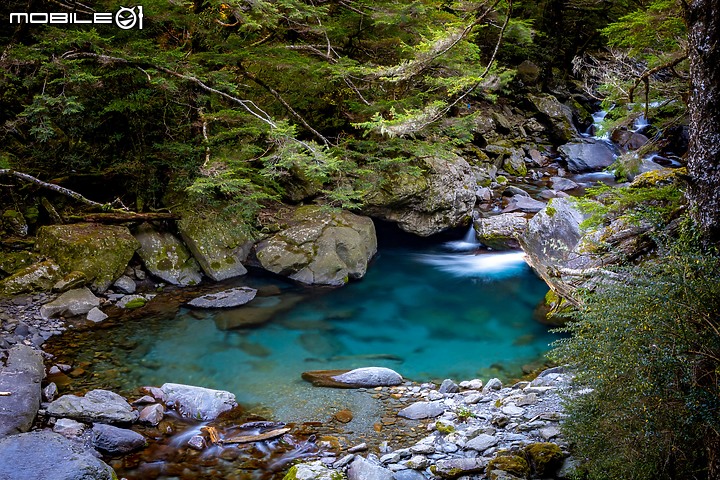 兩天兩夜 | 攝影之旅 [合歡山 清境 合歡溪 楓之谷 福壽山 埔里]