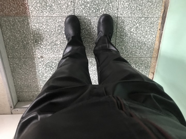 尖頭鰻的羅馬假期