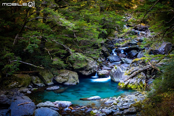 兩天兩夜 | 攝影之旅 [合歡山 清境 合歡溪 楓之谷 福壽山 埔里]
