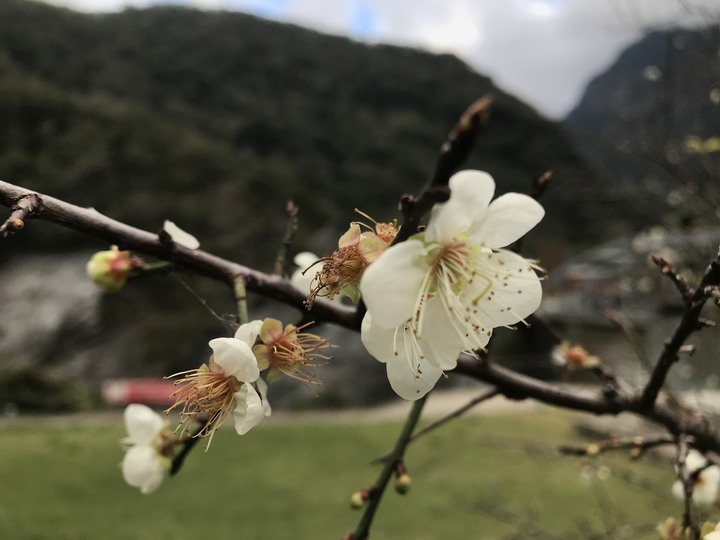 哈雷時空騎士:嘿!我的青春!追溯光陰33年!(錐麓斷崖、天祥塔比多)
