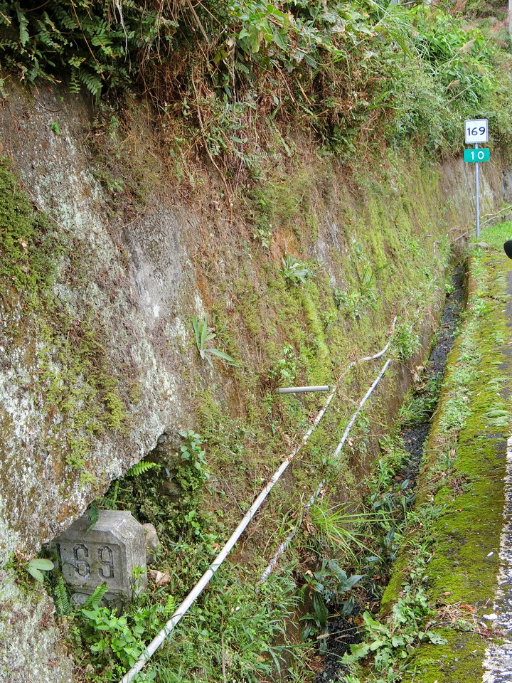 縣道169線記錄(梅山鄉太和~阿里山鄉里佳)