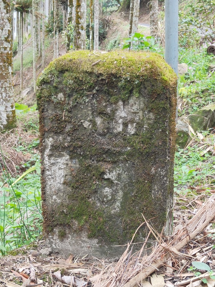 縣道169線記錄(梅山鄉太和~阿里山鄉里佳)