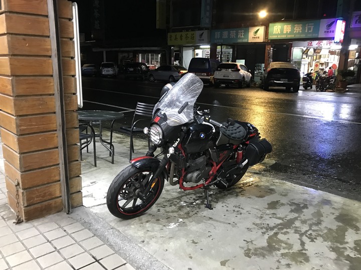 尖頭鰻的羅馬假期