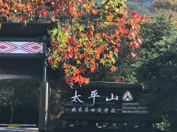 大野狼&rarr;太平山翠峰景觀道路之旅