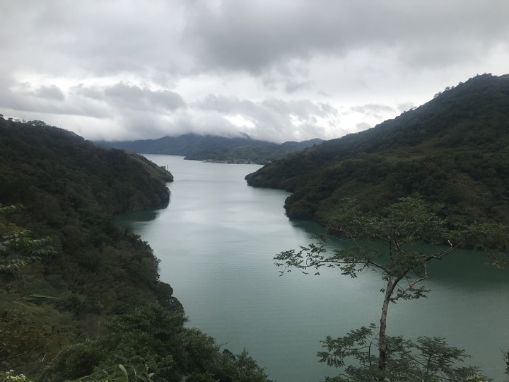 尖頭鰻的羅馬假期