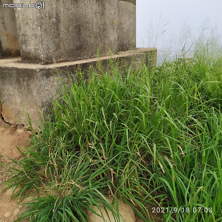 【忍者崎行旅】鐵砧山大草原碉堡輕度Off Road之旅!