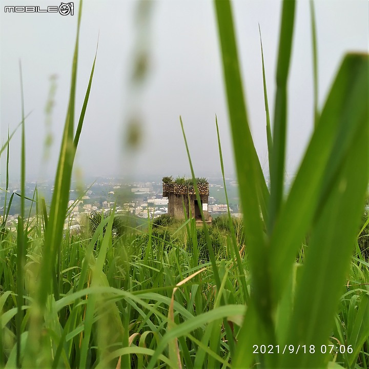 【忍者崎行旅】鐵砧山大草原碉堡輕度Off Road之旅!