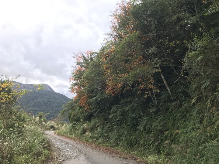 小雲豹→輕易完成的野溪溫泉瀑布SPA♨️