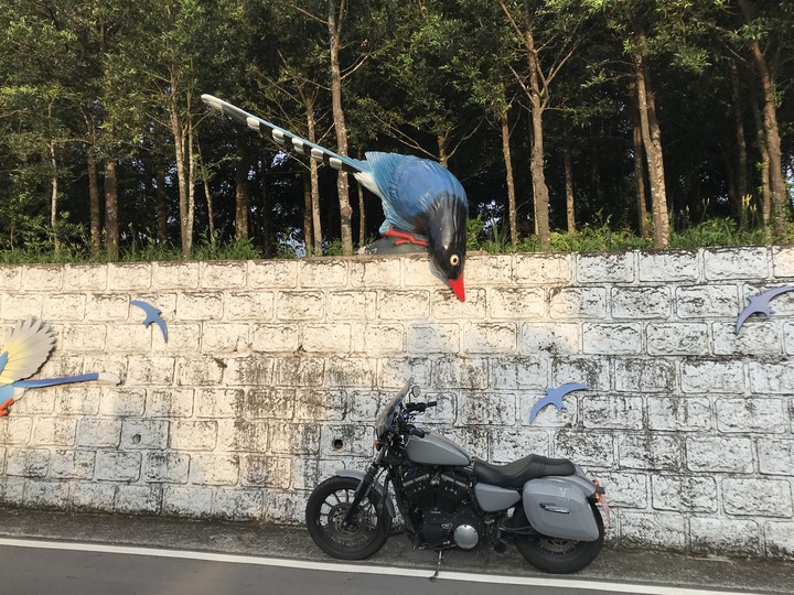 環島被不知那來勇氣的人亂移車而氣急攻心