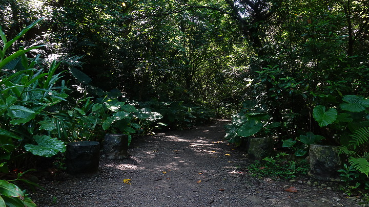 點我看大圖 富陽公園生態體驗