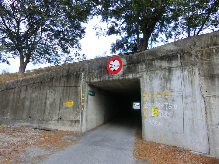 畫地圖-找尋雲林長頸龍