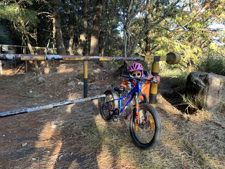 點我看大圖 上帝在這裡打翻了調色盤 - 登山車大雪山林道追楓去