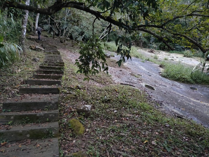 縣道169線記錄(梅山鄉太和~阿里山鄉里佳)