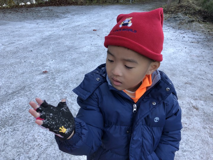 點我看大圖 上帝在這裡打翻了調色盤 - 登山車大雪山林道追楓去