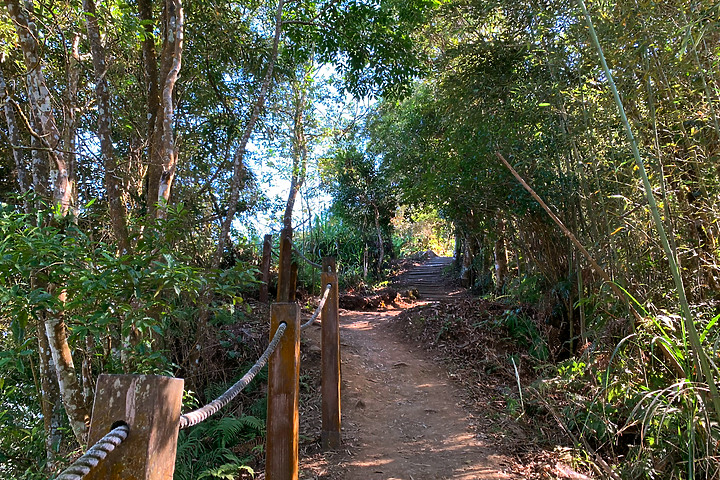 苗栗泰安｜馬那邦山登山步道｜漫步楓紅古戰場．遠眺深藍聖稜線