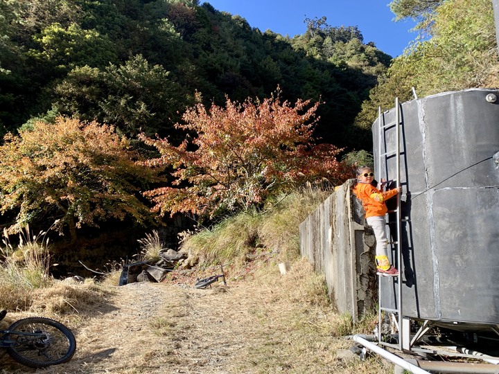 點我看大圖 上帝在這裡打翻了調色盤 - 登山車大雪山林道追楓去