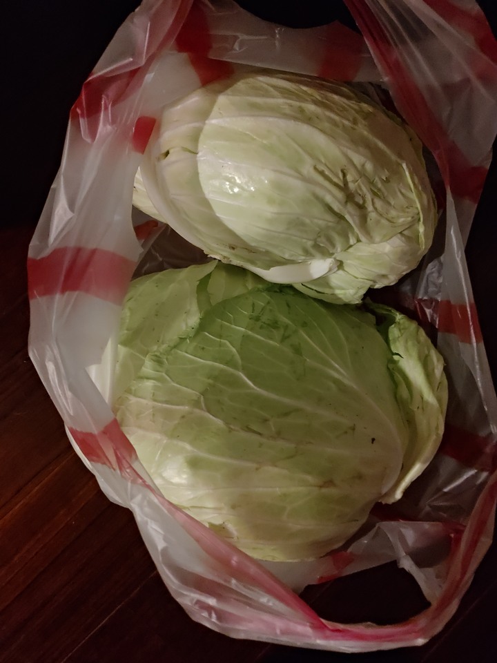 12/15更新 一顆10元/天冷請多吃高麗菜一斤13元