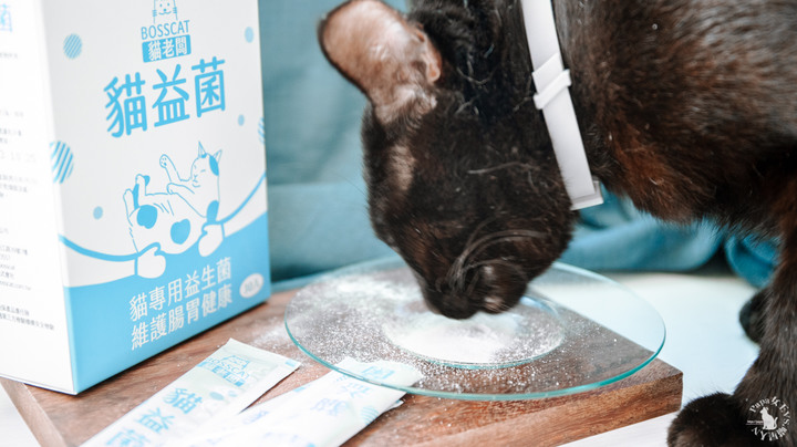 貓老闆-豆腐砂系列 直接換用沒問題,貓益生菌-提供給貓主子吃的益生菌