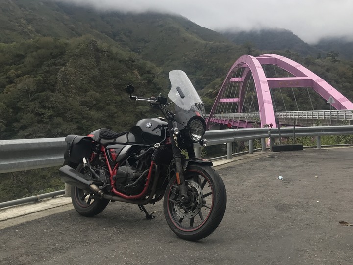 尖頭鰻的羅馬假期