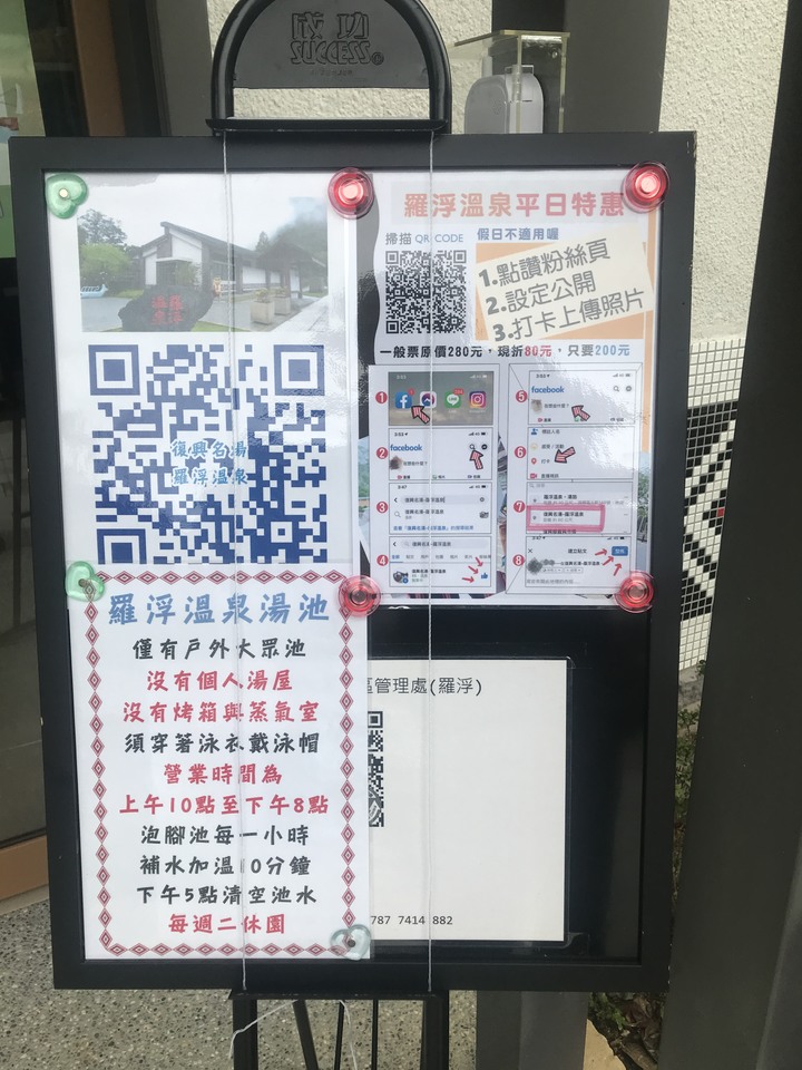 尖頭鰻的羅馬假期