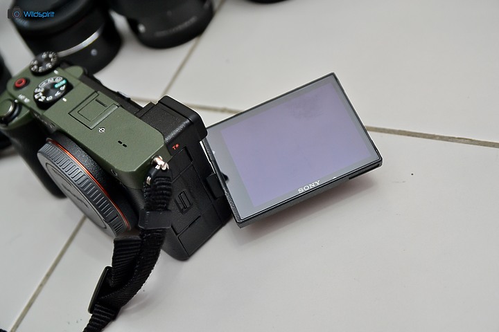 跨年後重啟攝影夥伴【SONY A7C】