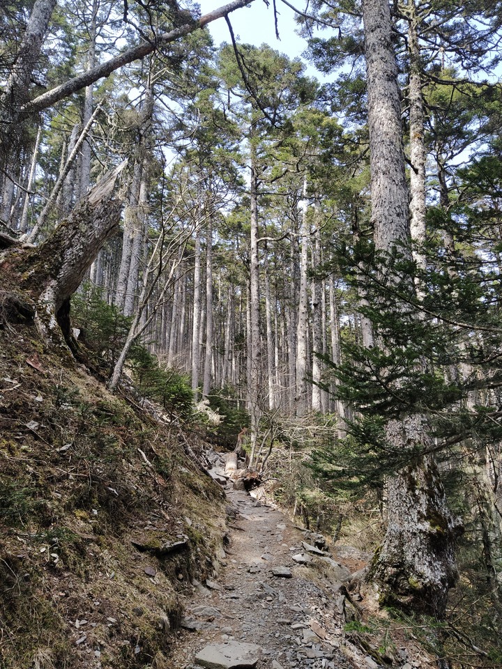 第三座五嶽雪山單攻
