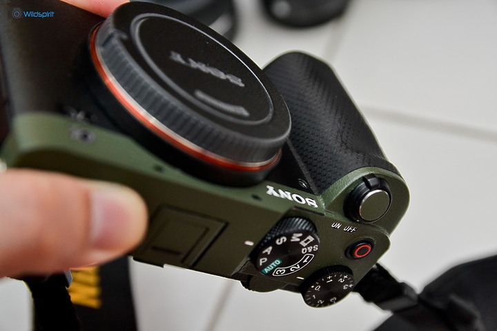 跨年後重啟攝影夥伴【SONY A7C】