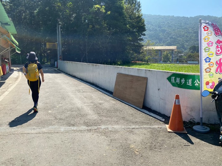 苗栗南庄|向天湖山O形縱走,蓊鬱的柳杉林,優美林相讓人著迷