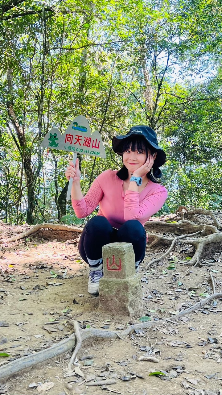 苗栗南庄|向天湖山O形縱走,蓊鬱的柳杉林,優美林相讓人著迷