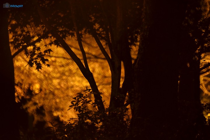 40年罕見具有光圈的反射鏡【OHNAR 300mm F5.6-16 Reflex Mirror】