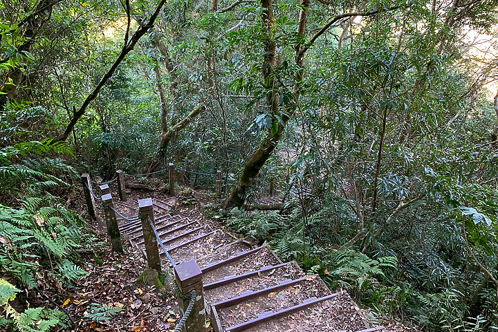 苗栗泰安｜馬那邦山登山步道｜漫步楓紅古戰場．遠眺深藍聖稜線