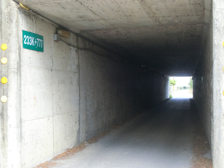 畫地圖-找尋雲林長頸龍