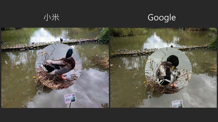 點我看大圖 到底是 1 億畫素的鏡頭吸引人,還是法力無邊的 Google AI 令人嚮往!小米 11T Pro 開箱測試~