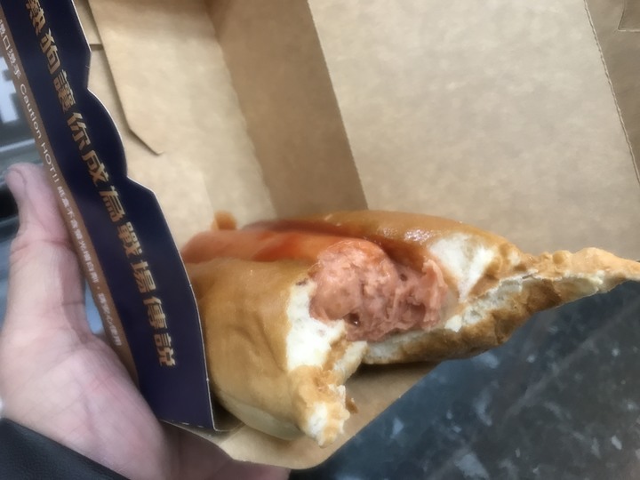 尖頭鰻的羅馬假期