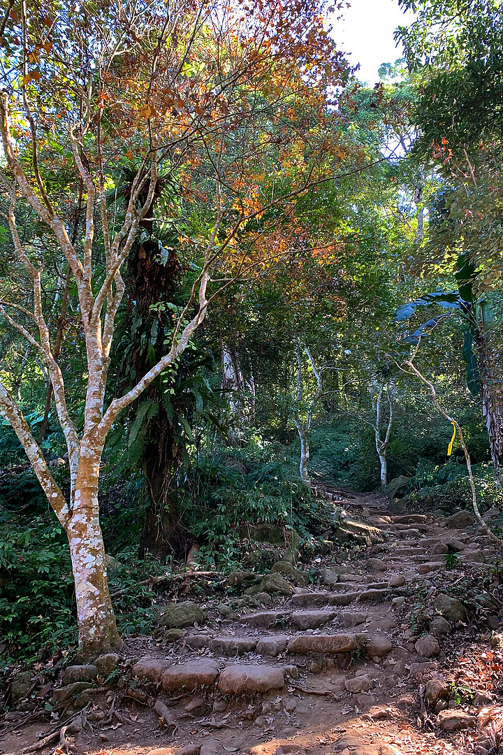 苗栗泰安｜馬那邦山登山步道｜漫步楓紅古戰場．遠眺深藍聖稜線