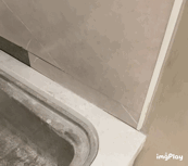 [經驗分享] 初次嘗試 TAKARA 就踩雷，真心建議要挑對代理商