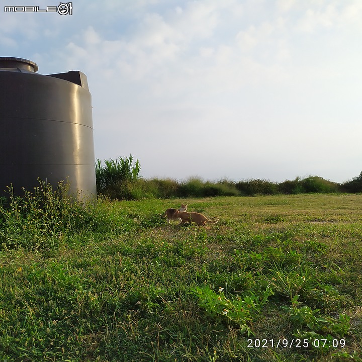 【忍者崎行旅】後龍鎮半天寮休閒文化園區半日遊!