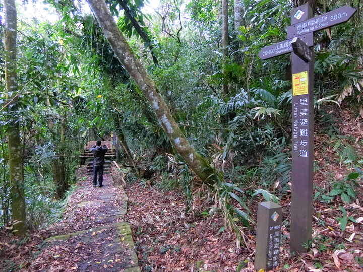 縣道169線記錄(梅山鄉太和~阿里山鄉里佳)