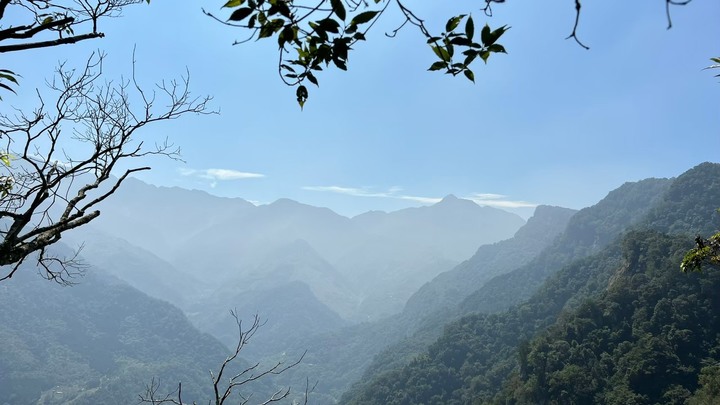 苗栗南庄|向天湖山O形縱走,蓊鬱的柳杉林,優美林相讓人著迷
