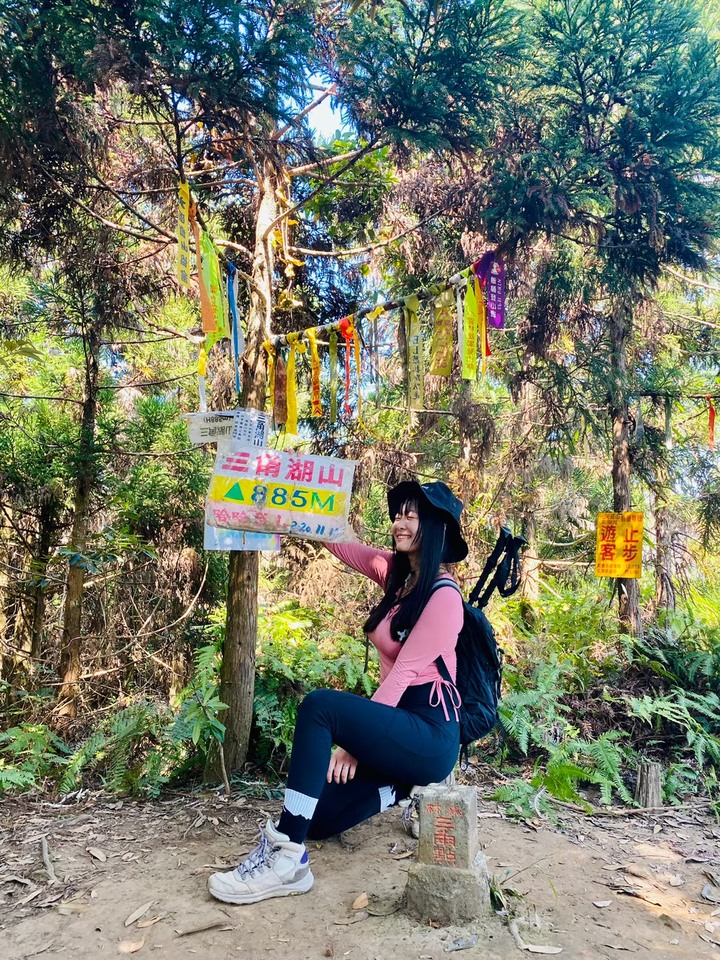 苗栗南庄|向天湖山O形縱走,蓊鬱的柳杉林,優美林相讓人著迷