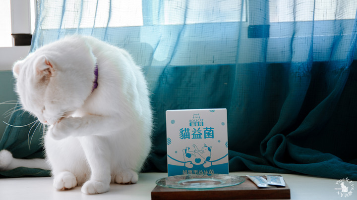 貓老闆-豆腐砂系列 直接換用沒問題,貓益生菌-提供給貓主子吃的益生菌