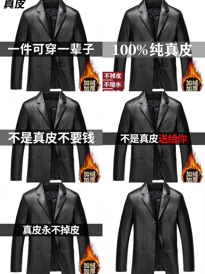 尖頭鰻的羅馬假期