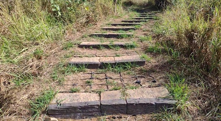 google地圖找不到的大肚山步道-龍目井步道