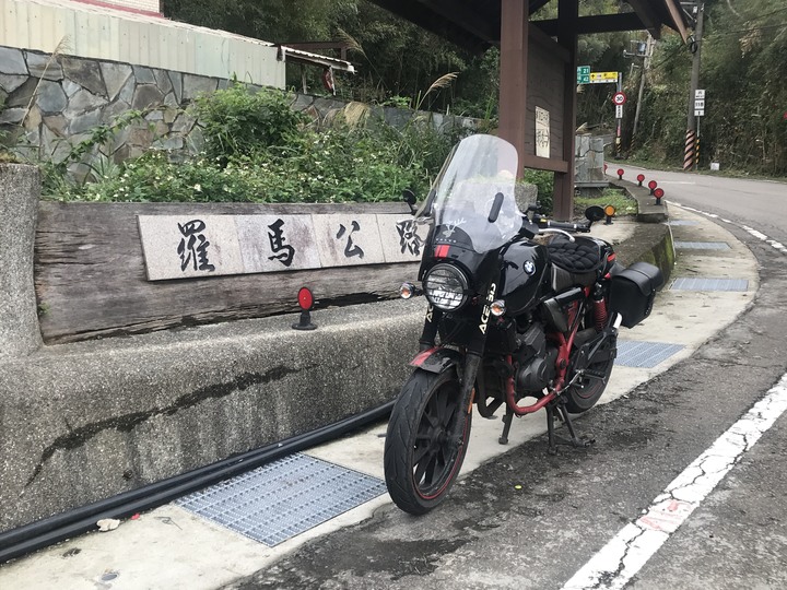 尖頭鰻的羅馬假期