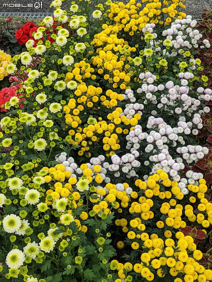 城市花廊 台南市市議會 12/26
