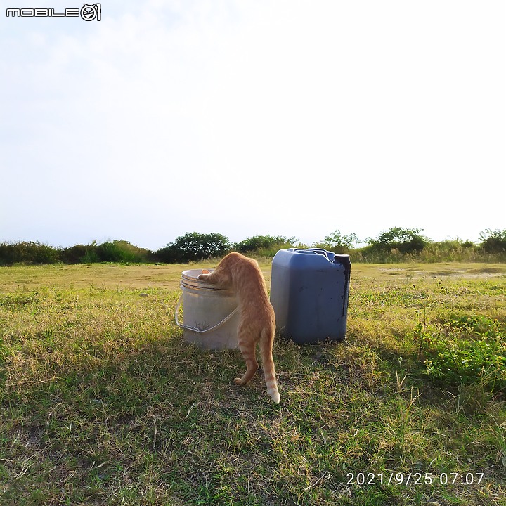 【忍者崎行旅】後龍鎮半天寮休閒文化園區半日遊!