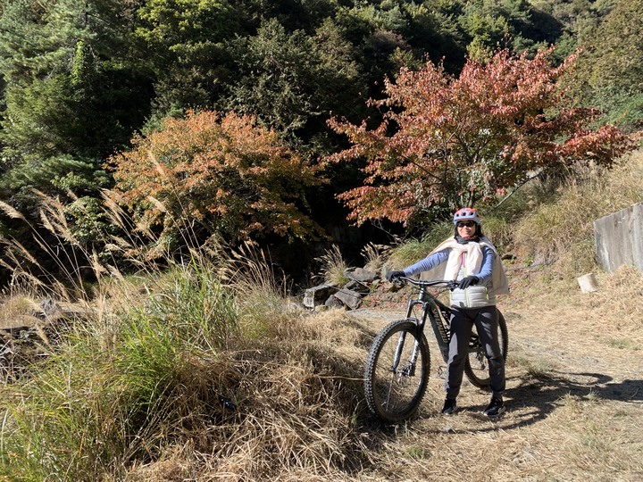 點我看大圖 上帝在這裡打翻了調色盤 - 登山車大雪山林道追楓去