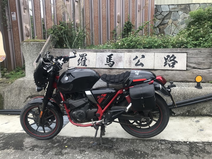尖頭鰻的羅馬假期